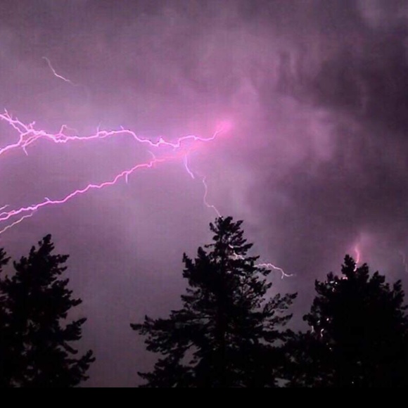 Meet your Posher, Luna - Picture 4 of 15